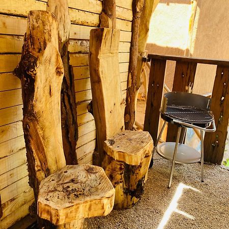 Cabanas Rusticas Olimpus Del Elqui Vicuña Екстериор снимка