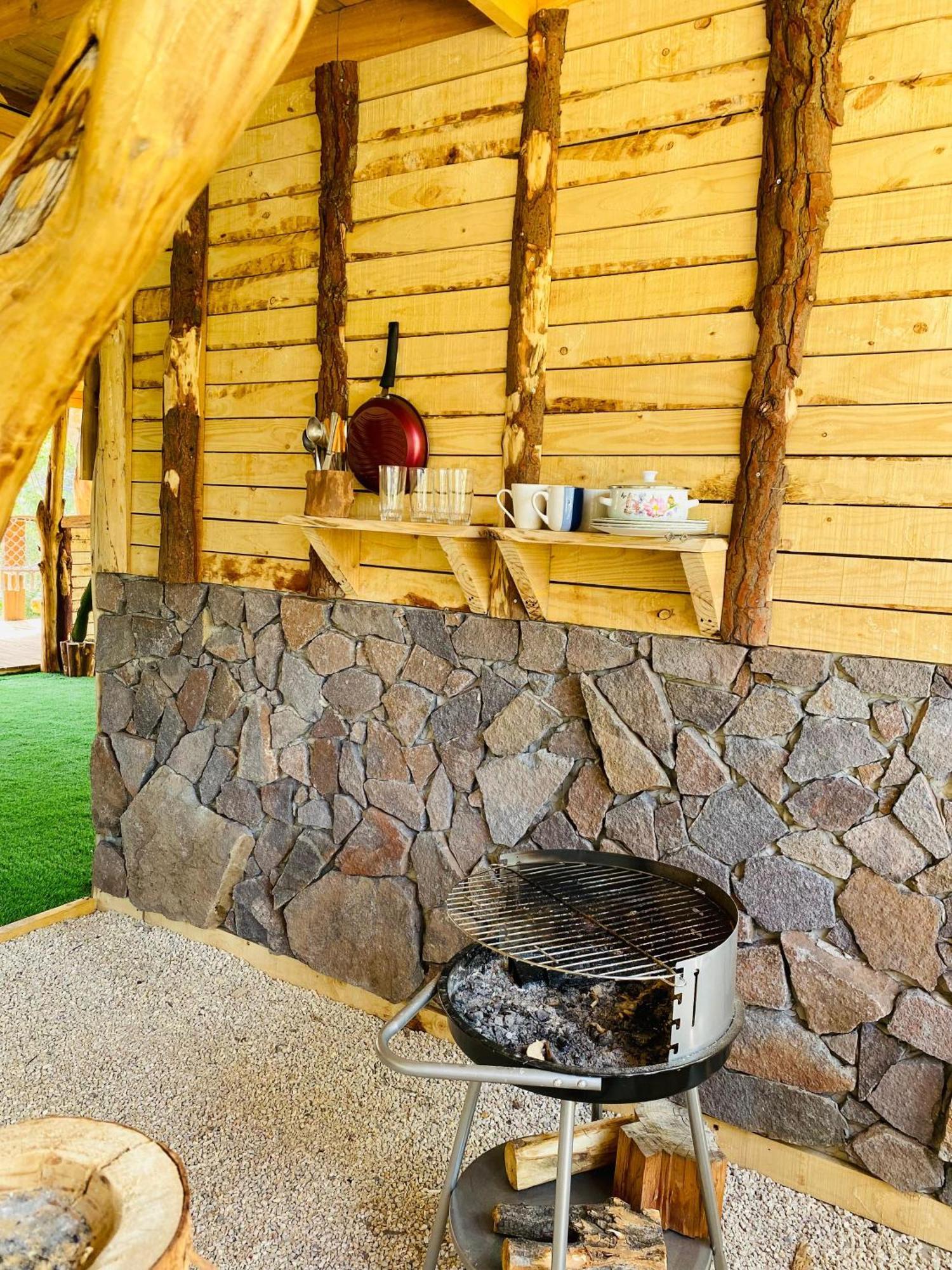 Cabanas Rusticas Olimpus Del Elqui Vicuña Екстериор снимка